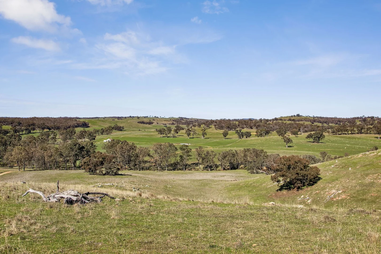 Additional image 17 of "Cairn Hill" Cnr Patons & Doles Road, Kimbolton VIC 3551
