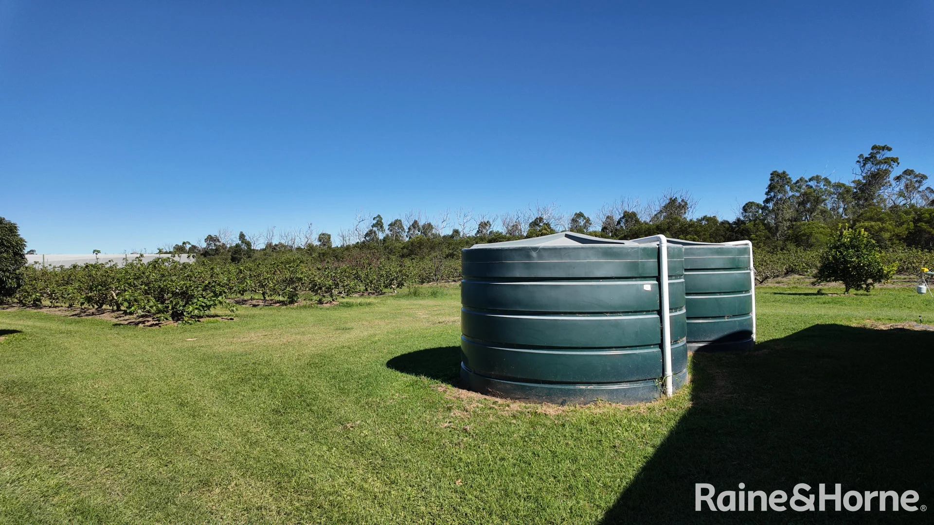 Additional image 10 of 135 Newlands Road, North Gregory QLD 4660