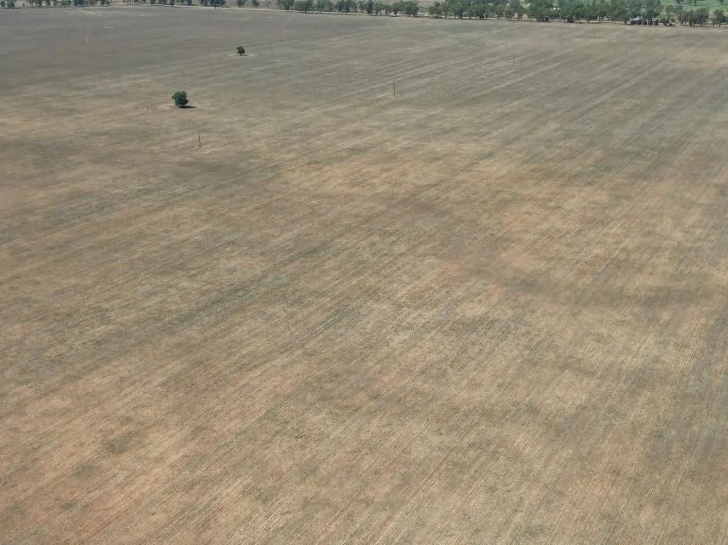 Additional image 2 of Gingham Road, Moree NSW 2400