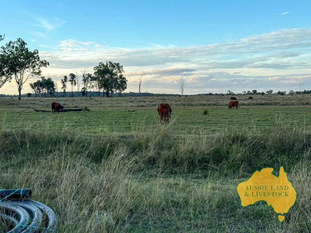 Additional image 25 of 8 SCREENING PLANT ROAD, Cynthia QLD 4627