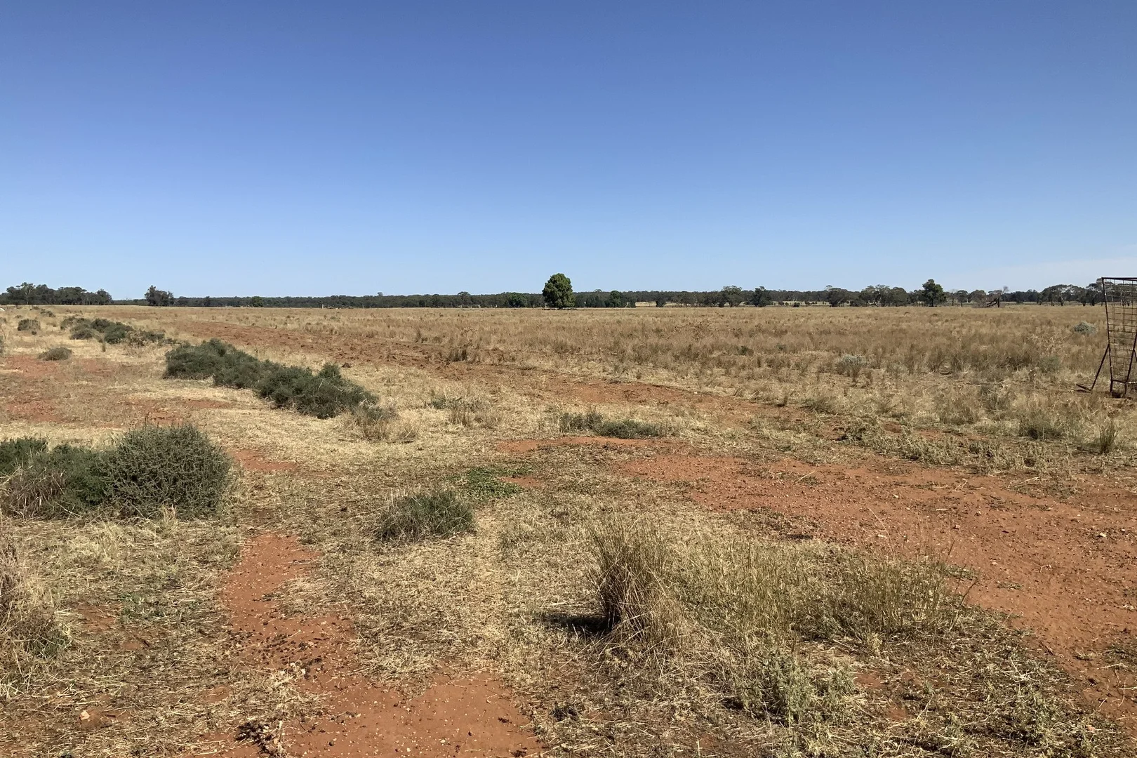 Additional image 16 of 703 Yethera Road, Tullamore NSW 2874