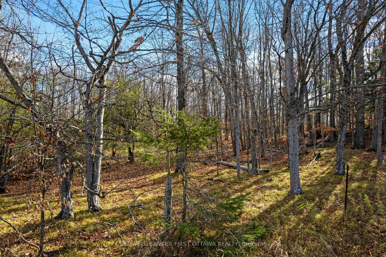 Additional image 5 of Pt 3-00 Herron Mills Road