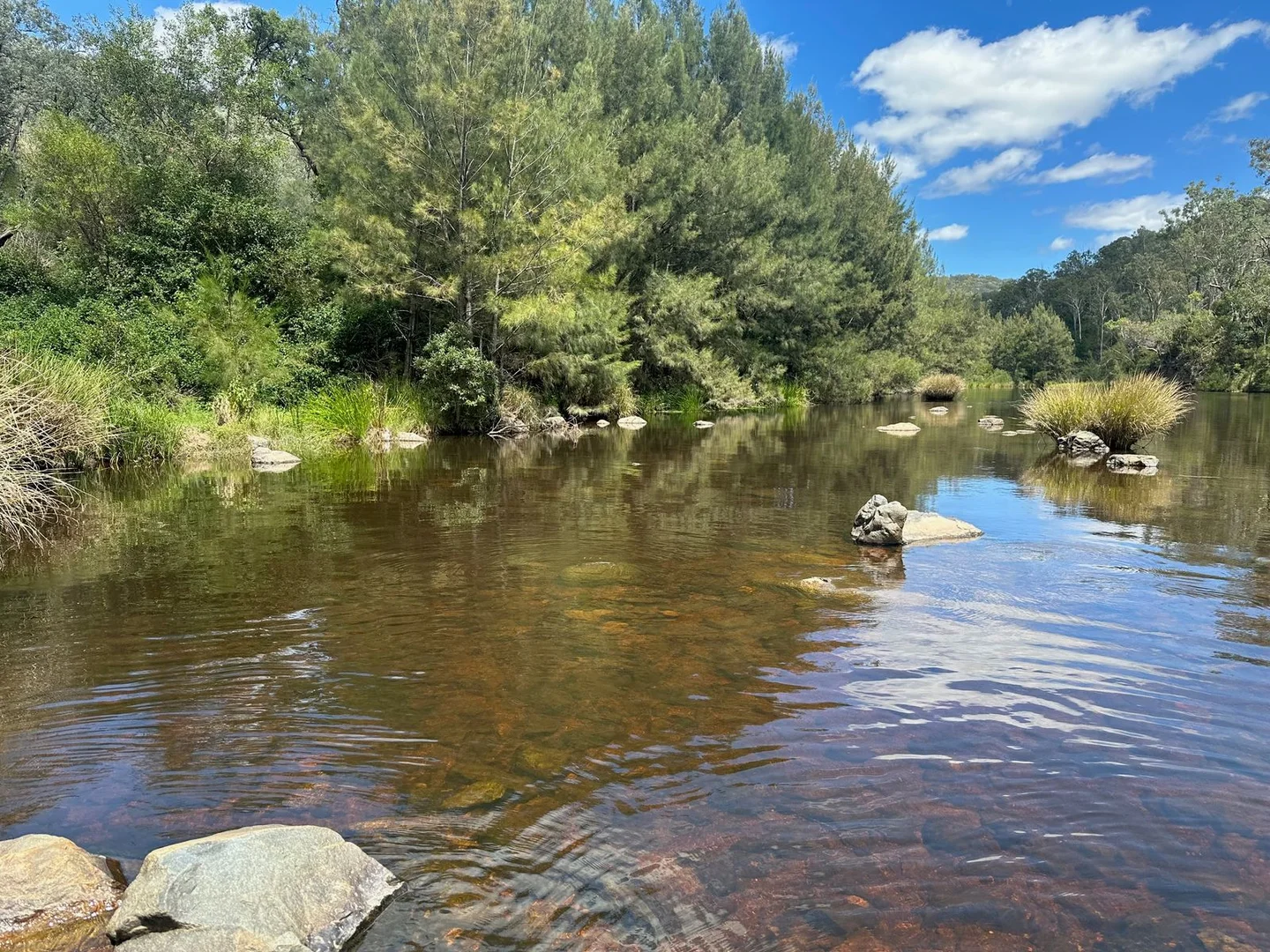 Additional image 6 of Lot 16 Bonner Road, Rivertree NSW 2372