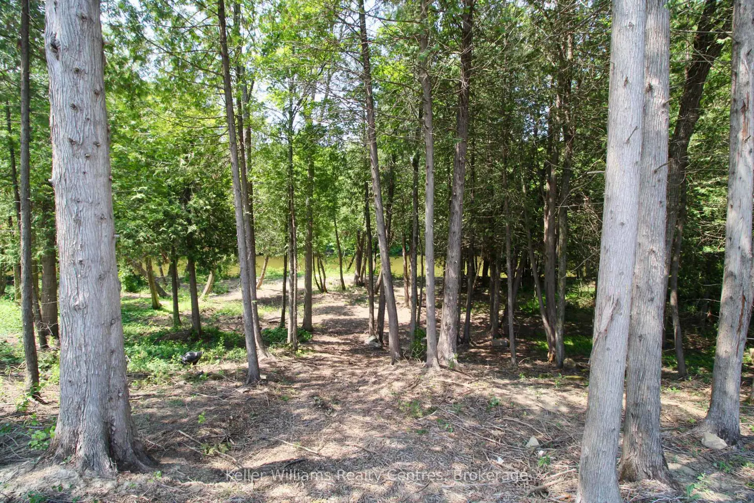 Additional image 20 of 776 20Th Street