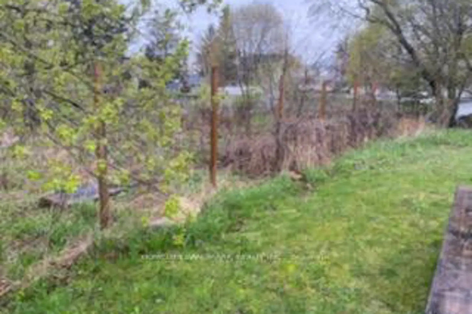 Additional image 4 of 26-28 Chisholm Trail