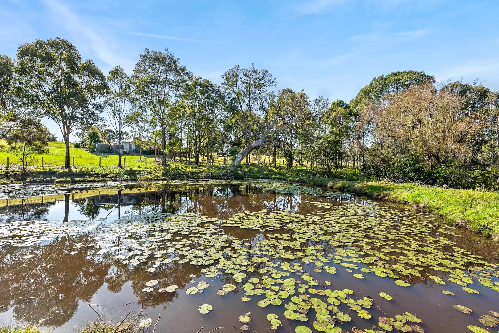 Additional image 21 of 56 Mountain View Road, Moruya NSW 2537