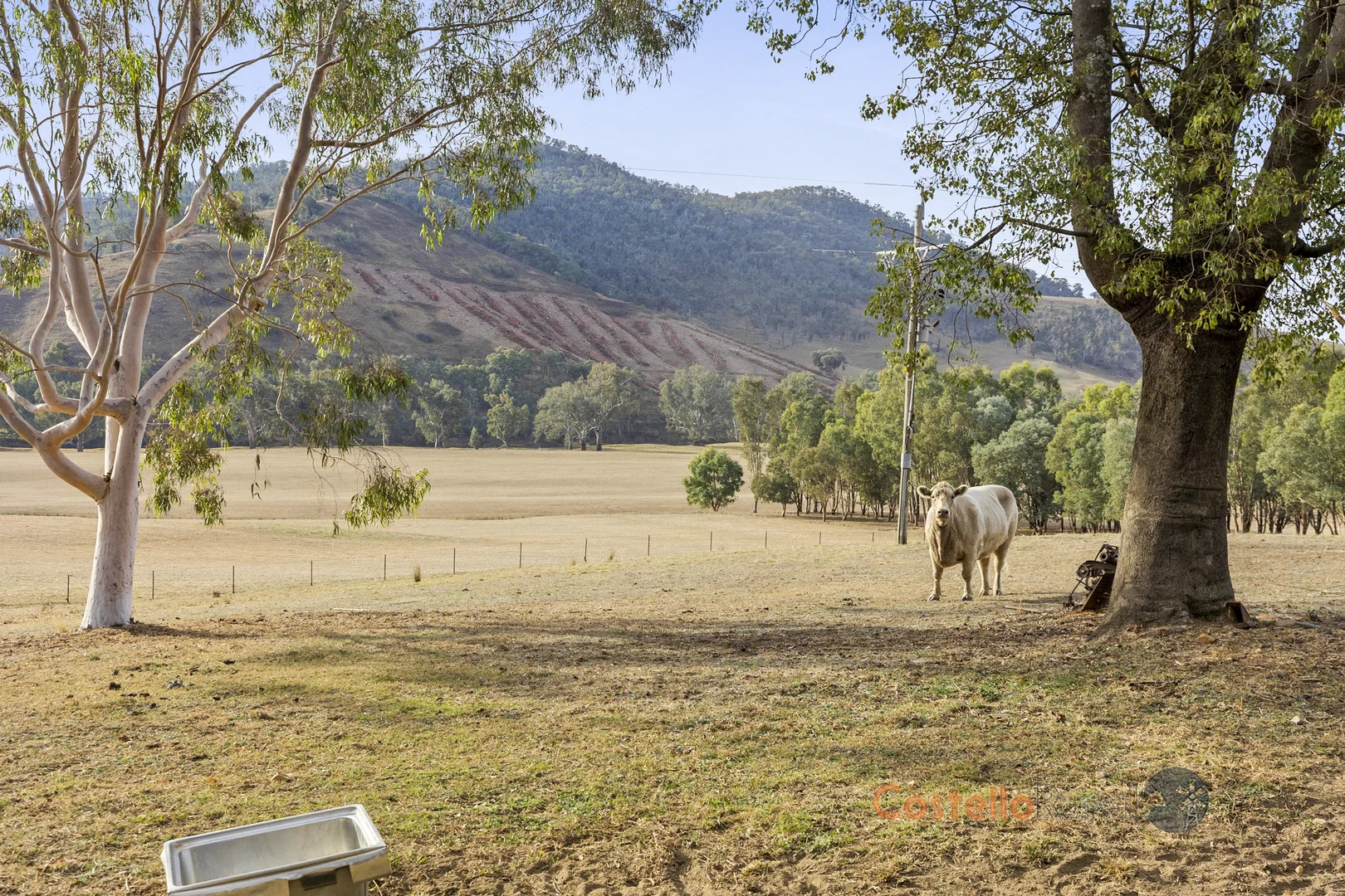 Additional image 2 of 8243 Murray River Rd, Walwa VIC 3709