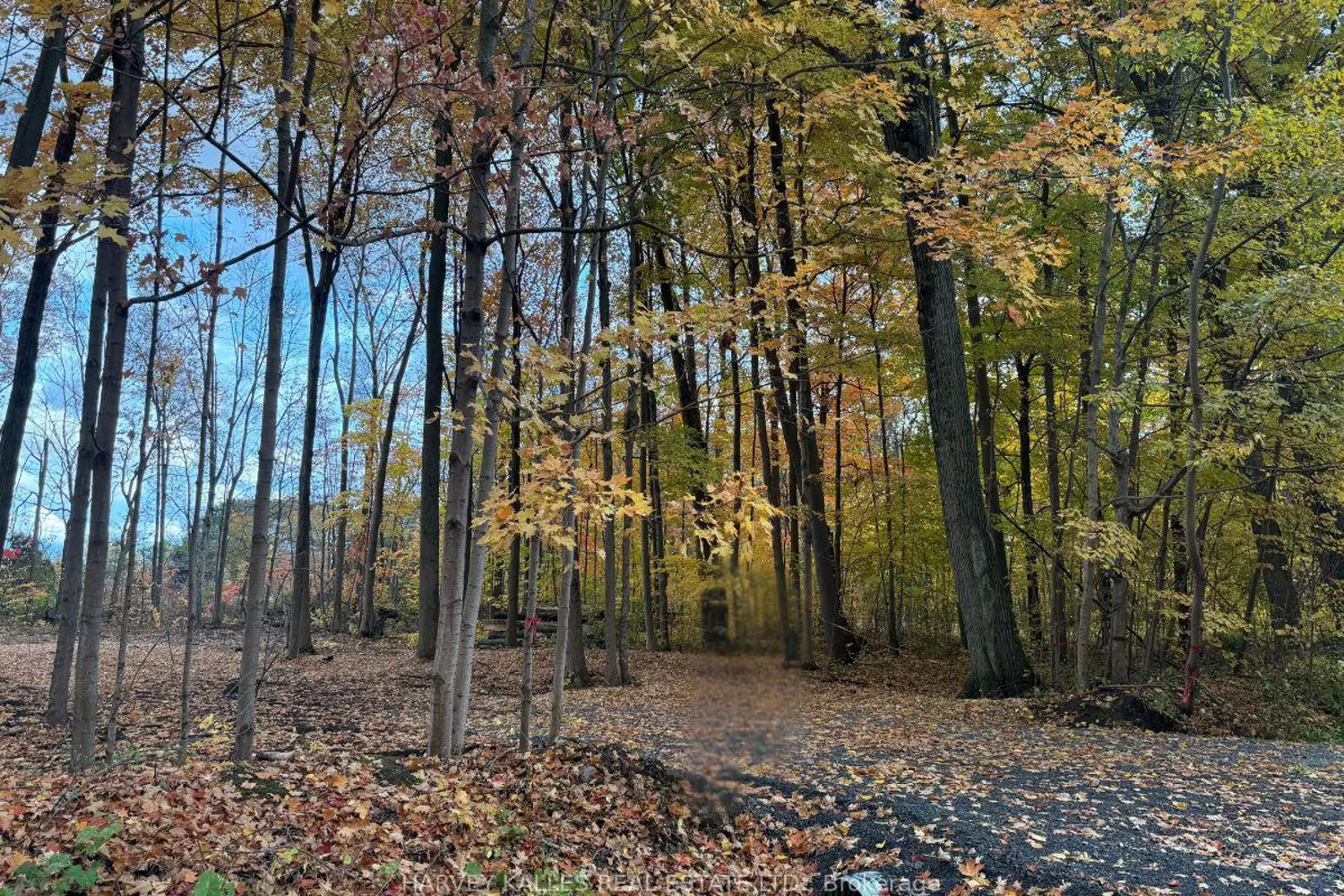 Additional image 4 of 0 Oakwood Lane