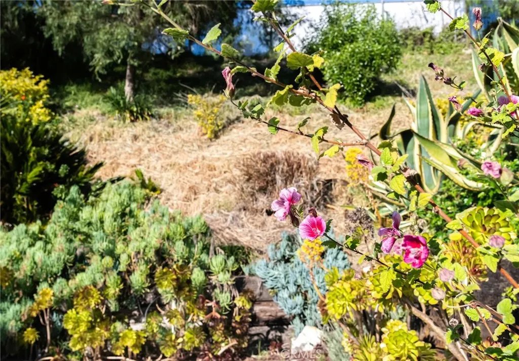 Additional image 97 of 28068 Santona Drive, Rancho Palos Verdes, CA 90275