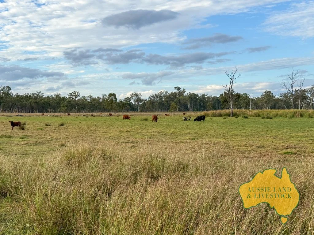Additional image 59 of 8 SCREENING PLANT ROAD, Cynthia QLD 4627