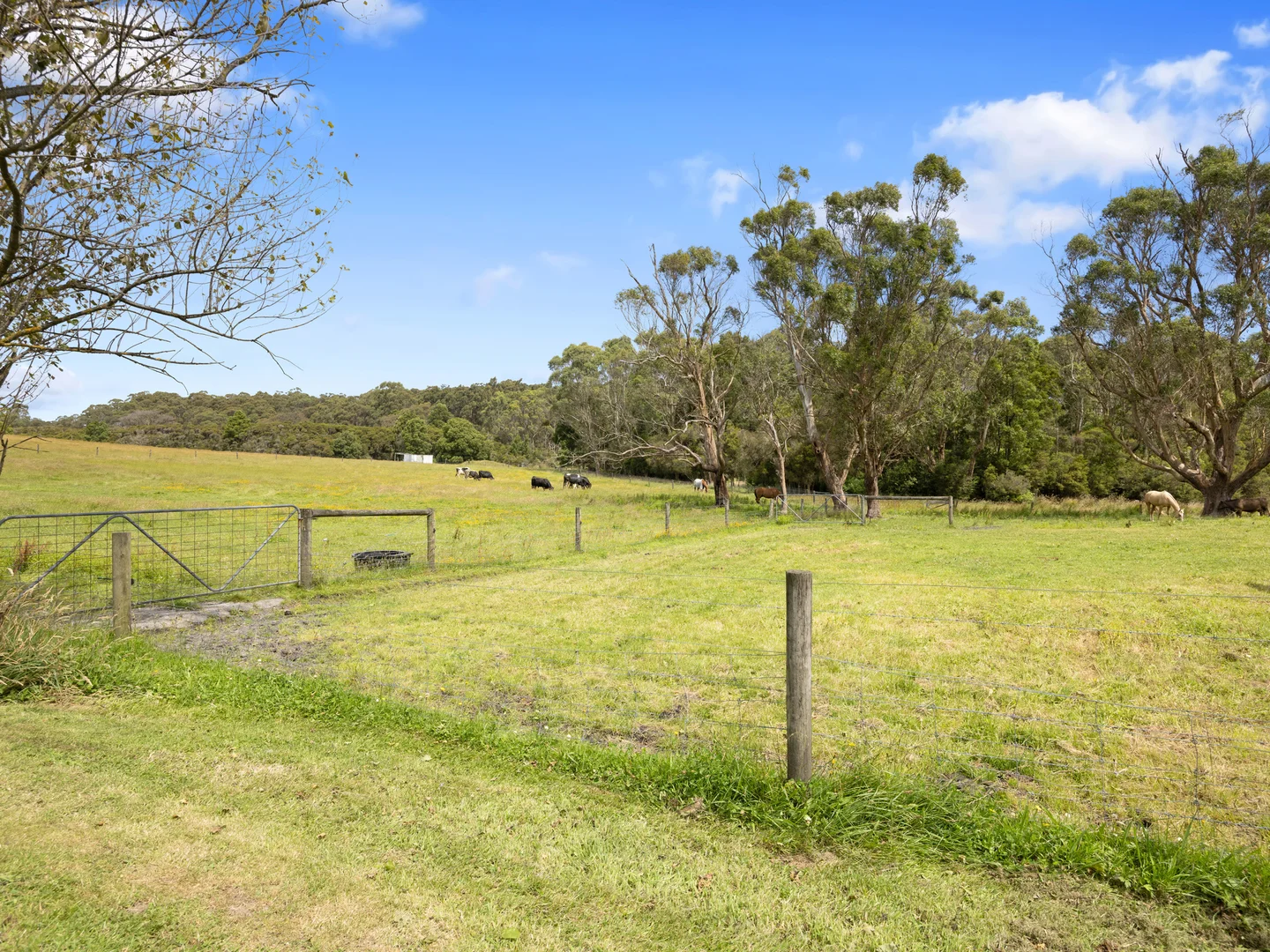 Additional image 24 of 885 Woorarra Rd, Woorarra East VIC 3962