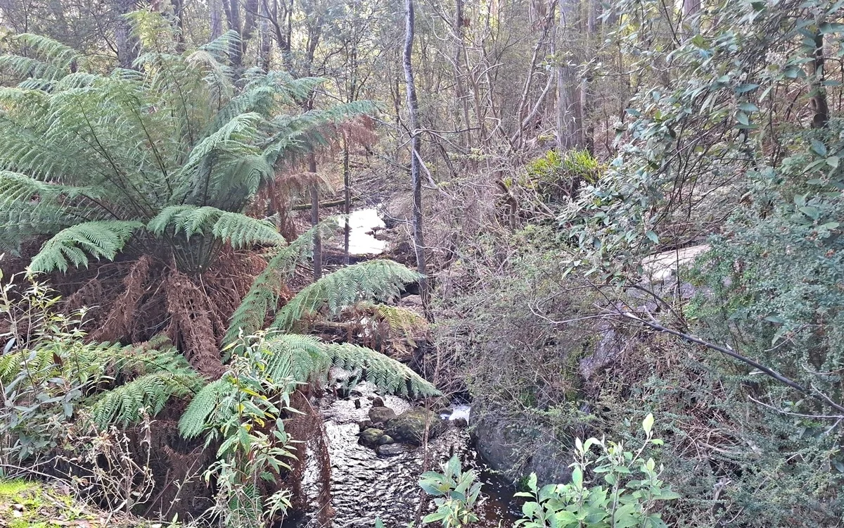 Additional image 32 of 105 McCoys Road, Claude Road TAS 7306