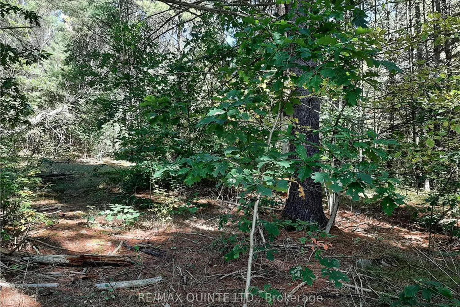 Additional image 2 of 0 Pt Lt12 Con14 Hwy 37 Road