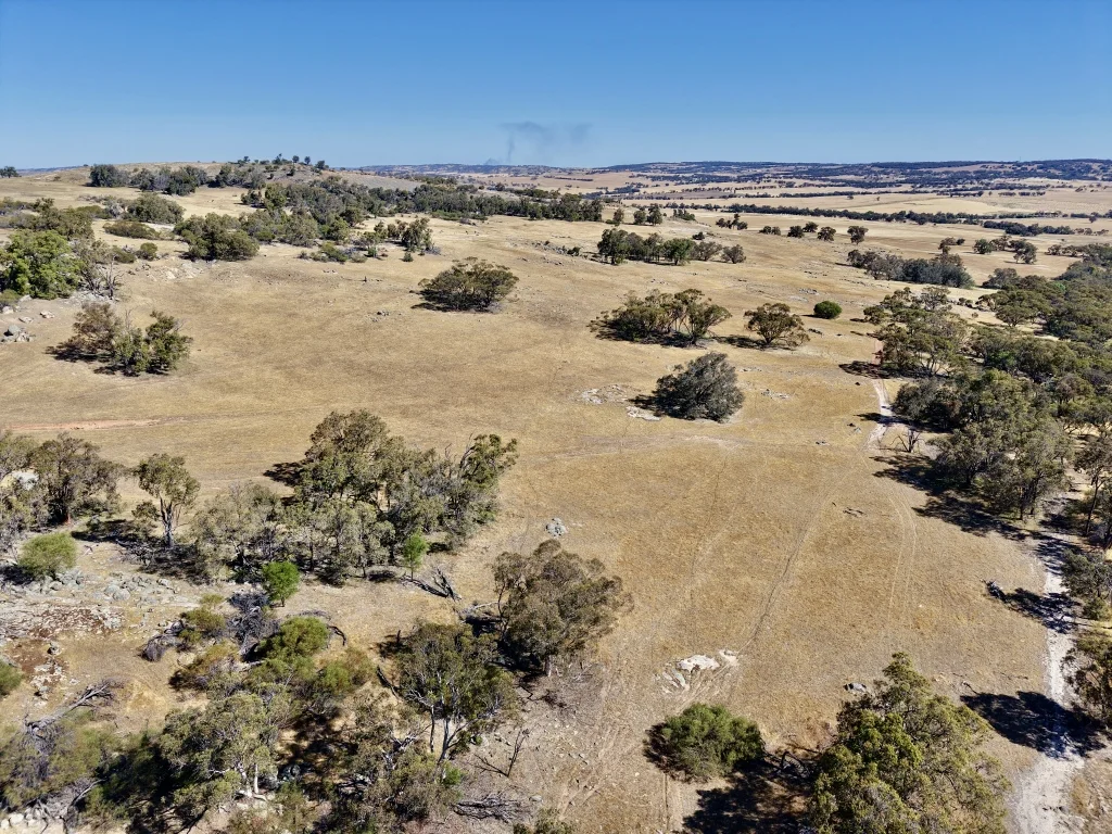 Additional image 16 of Lot 12 Young Road, Gwambygine WA 6302