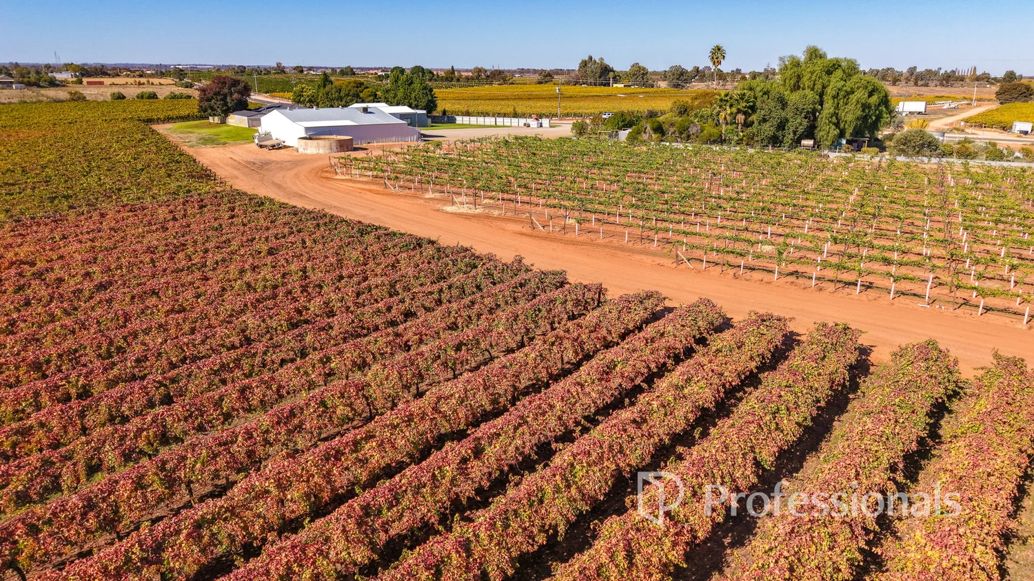 Additional image 13 of 225 Stewart Road, Red Cliffs VIC 3496