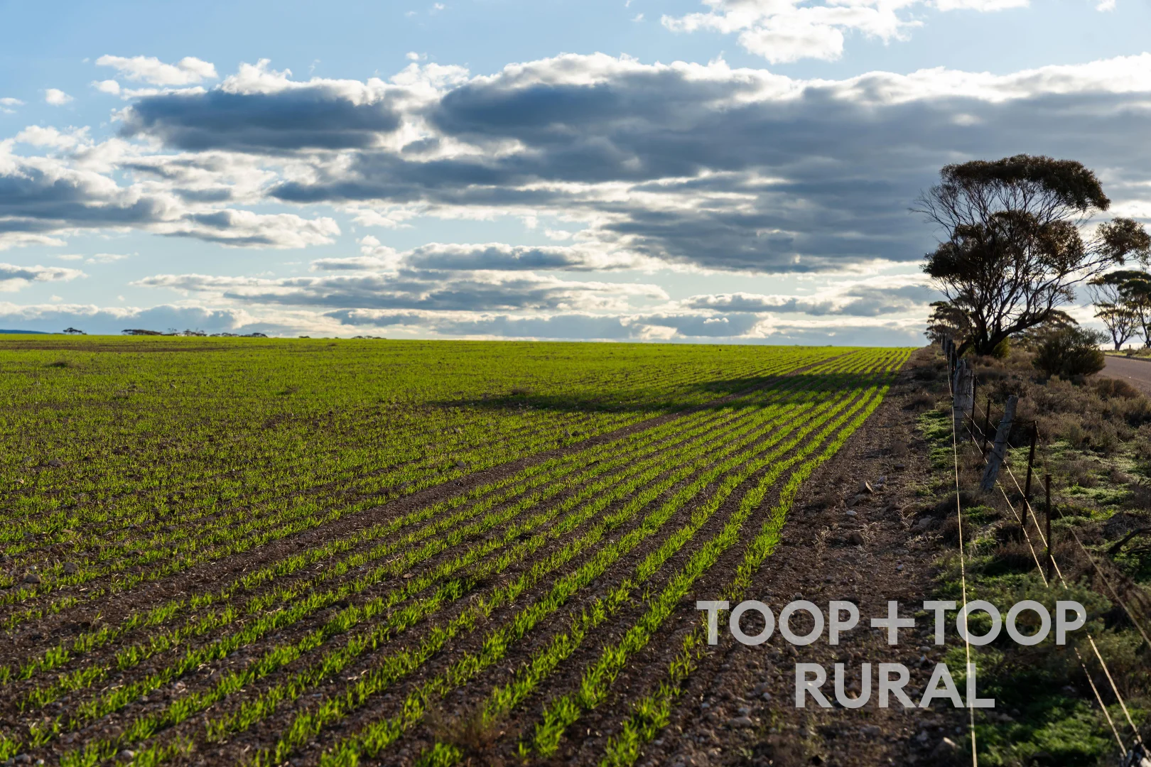 Additional image 8 of 332 Angle Road, Brownlow SA 5374