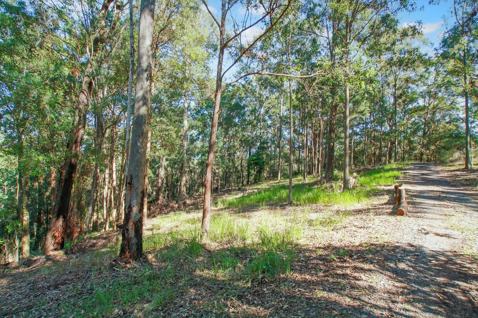 Additional image 12 of 94 Holyrood Road, Maudsland QLD 4210