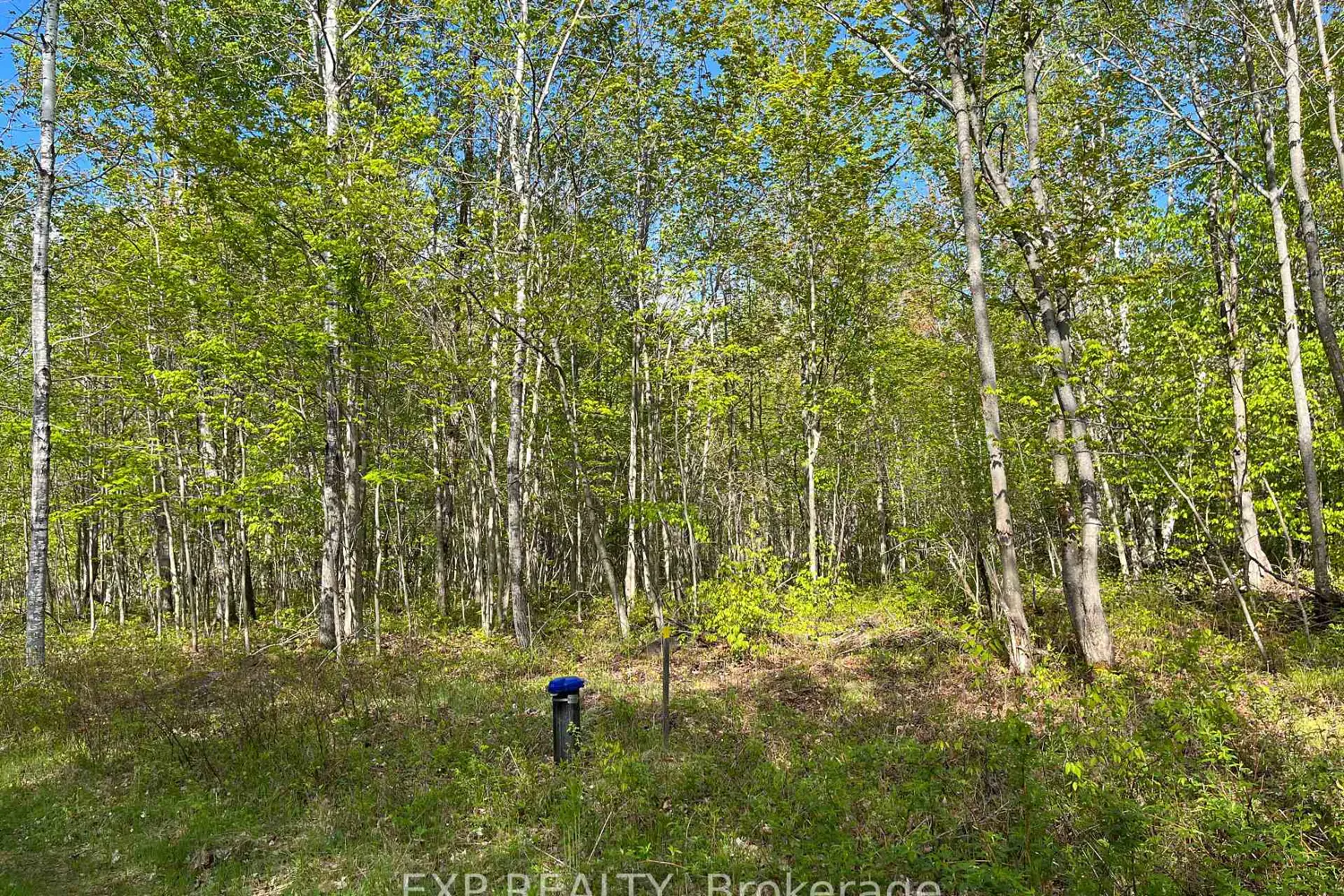 Additional image 8 of Lot 4 Sandy Shores Trail