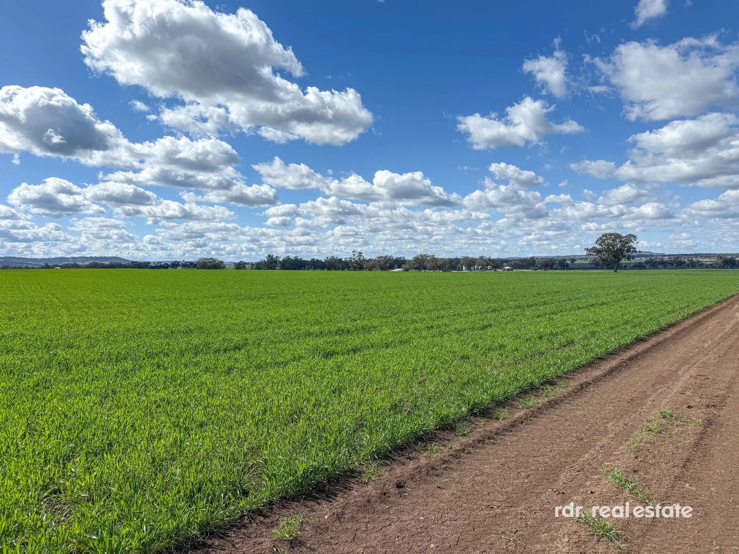 Additional image 31 of 137 Gragin Rd, Delungra NSW 2403