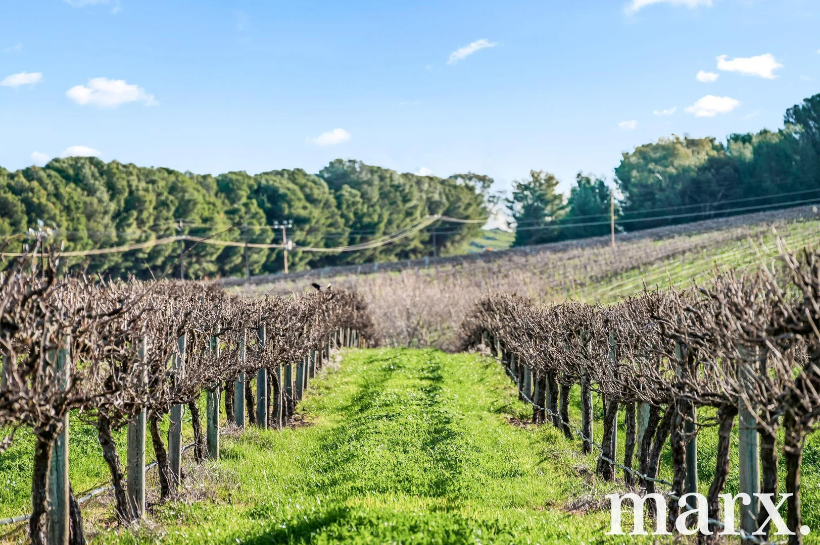 Additional image 29 of 137 Radford Road, Angaston SA 5353