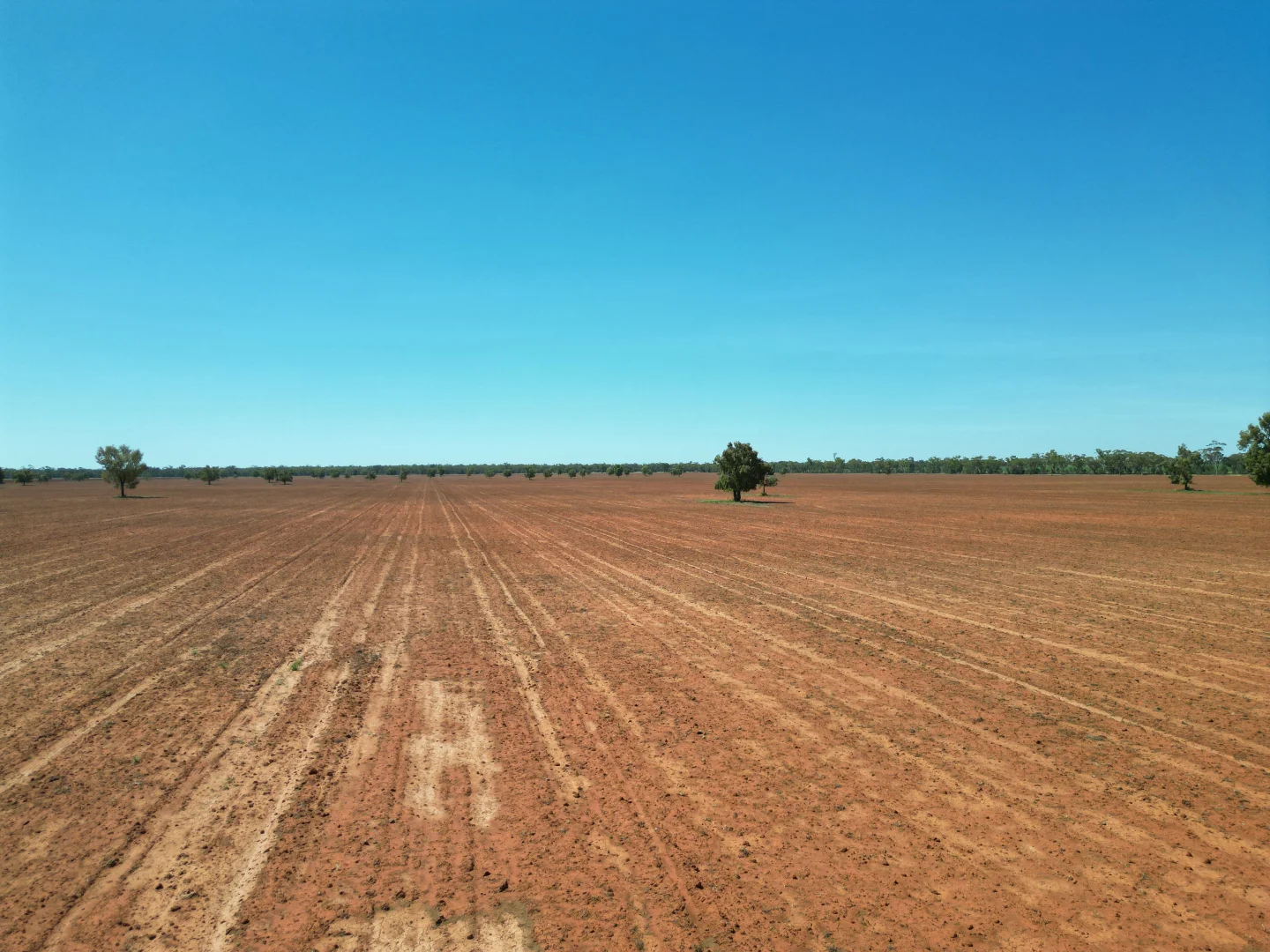 Additional image 10 of "Glendale"/4666 Mitchell Highway, Girilambone NSW 2831