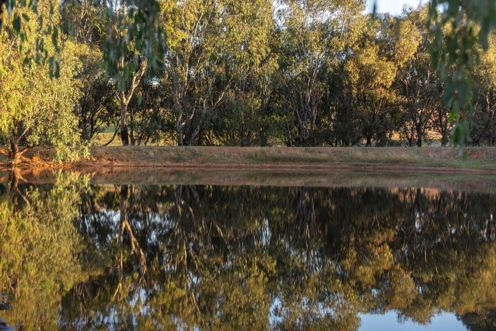 Additional image 6 of Lot 4 Wynyard Hill, Springvale NSW 2650