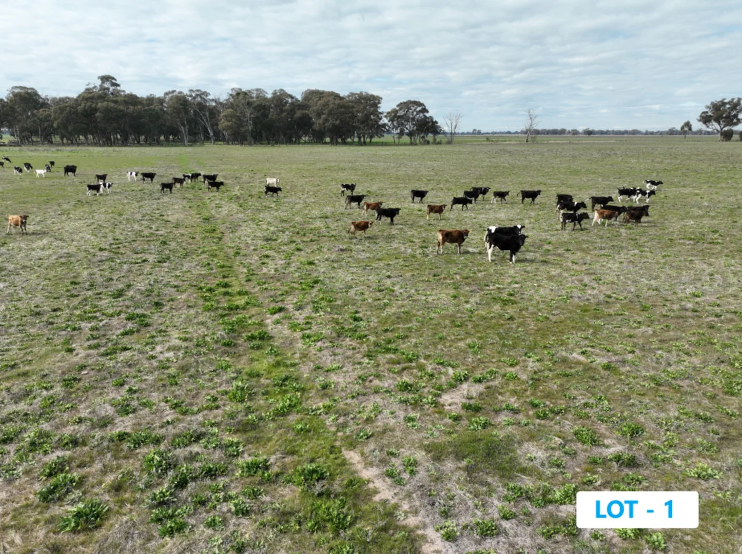 Additional image 5 of 219 Grahams Road, Wunghnu VIC 3635