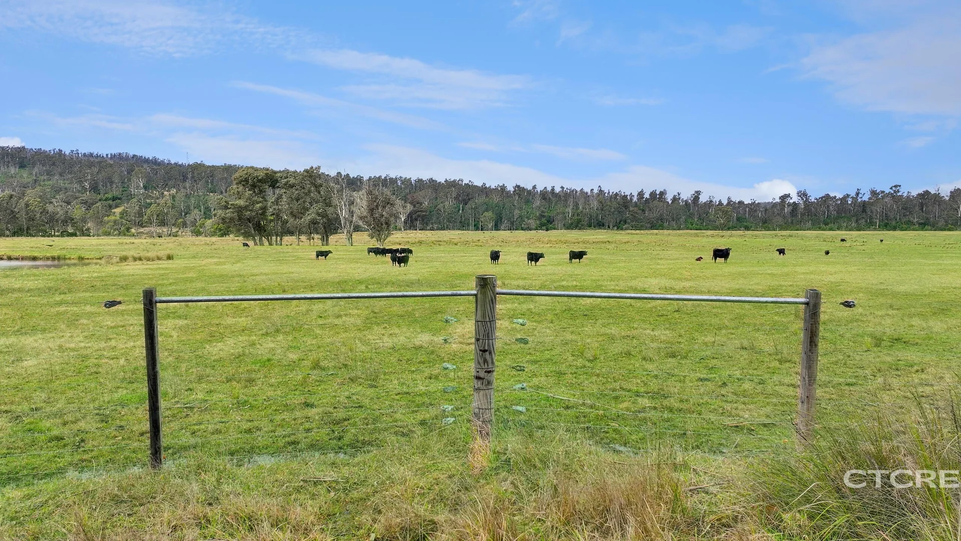Additional image 5 of 1664 Wangarabell Road, Wangarabell VIC 3891