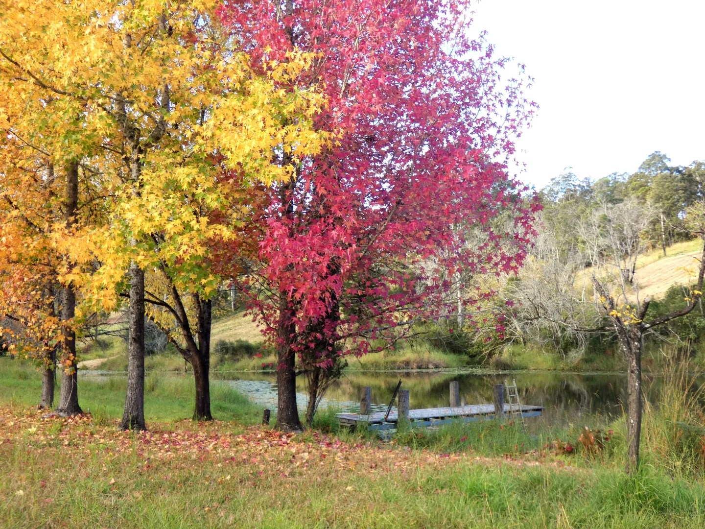 Additional image 4 of Bellangry NSW 2446