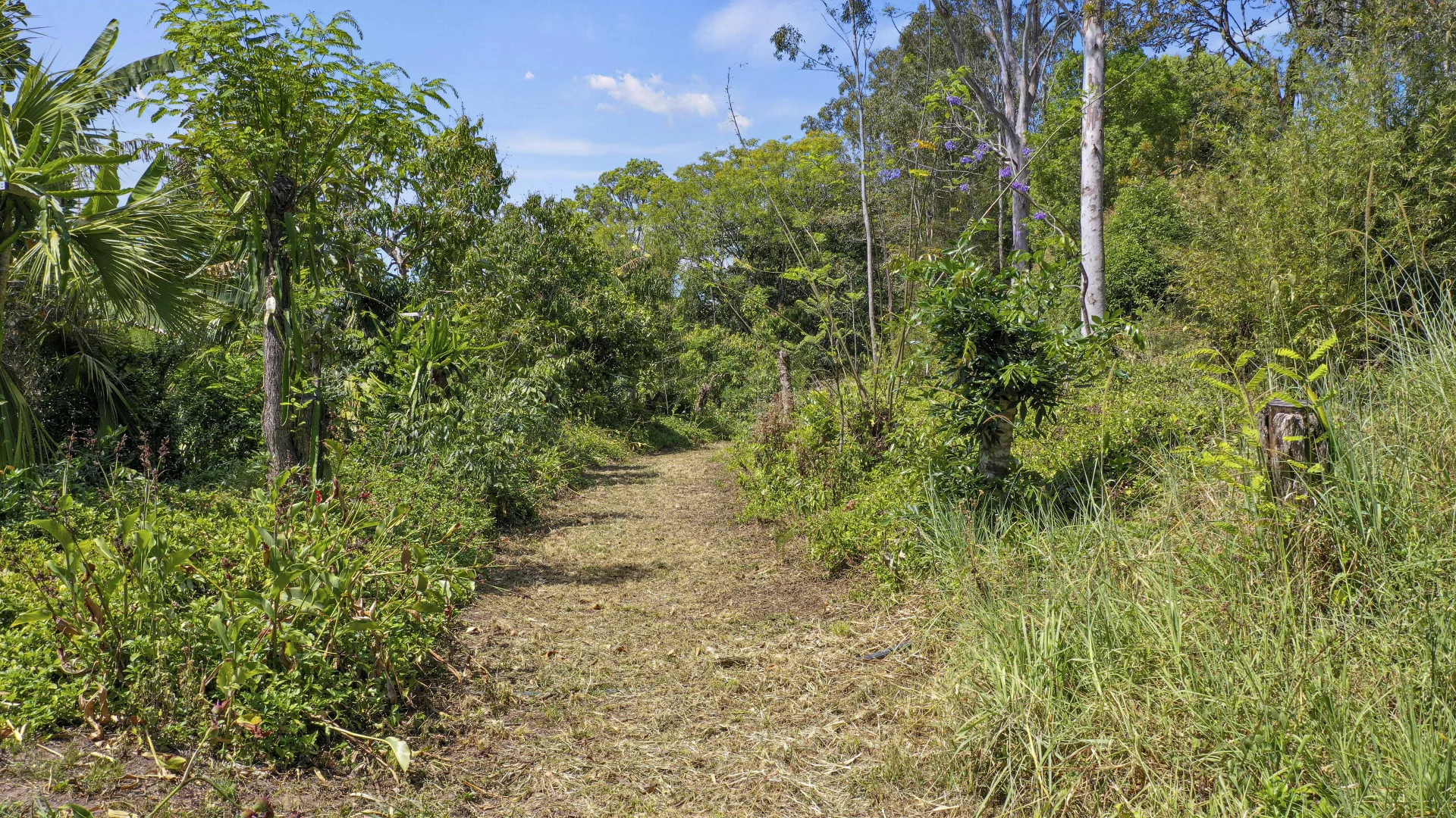 Additional image 10 of Share D5/1158 Pinchin Road, The Channon NSW 2480