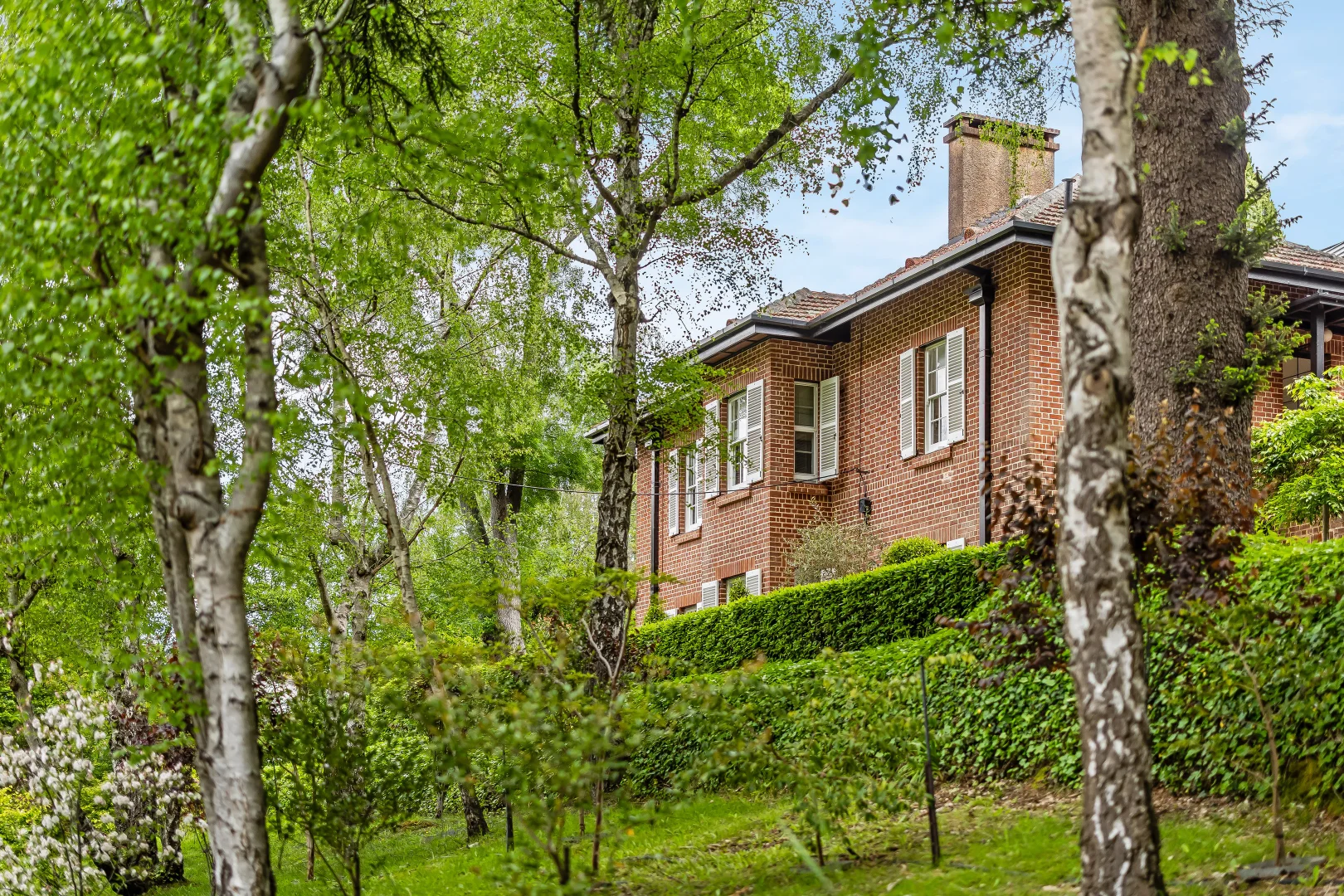 Additional image 55 of 16 Birch Road, Stirling SA 5152