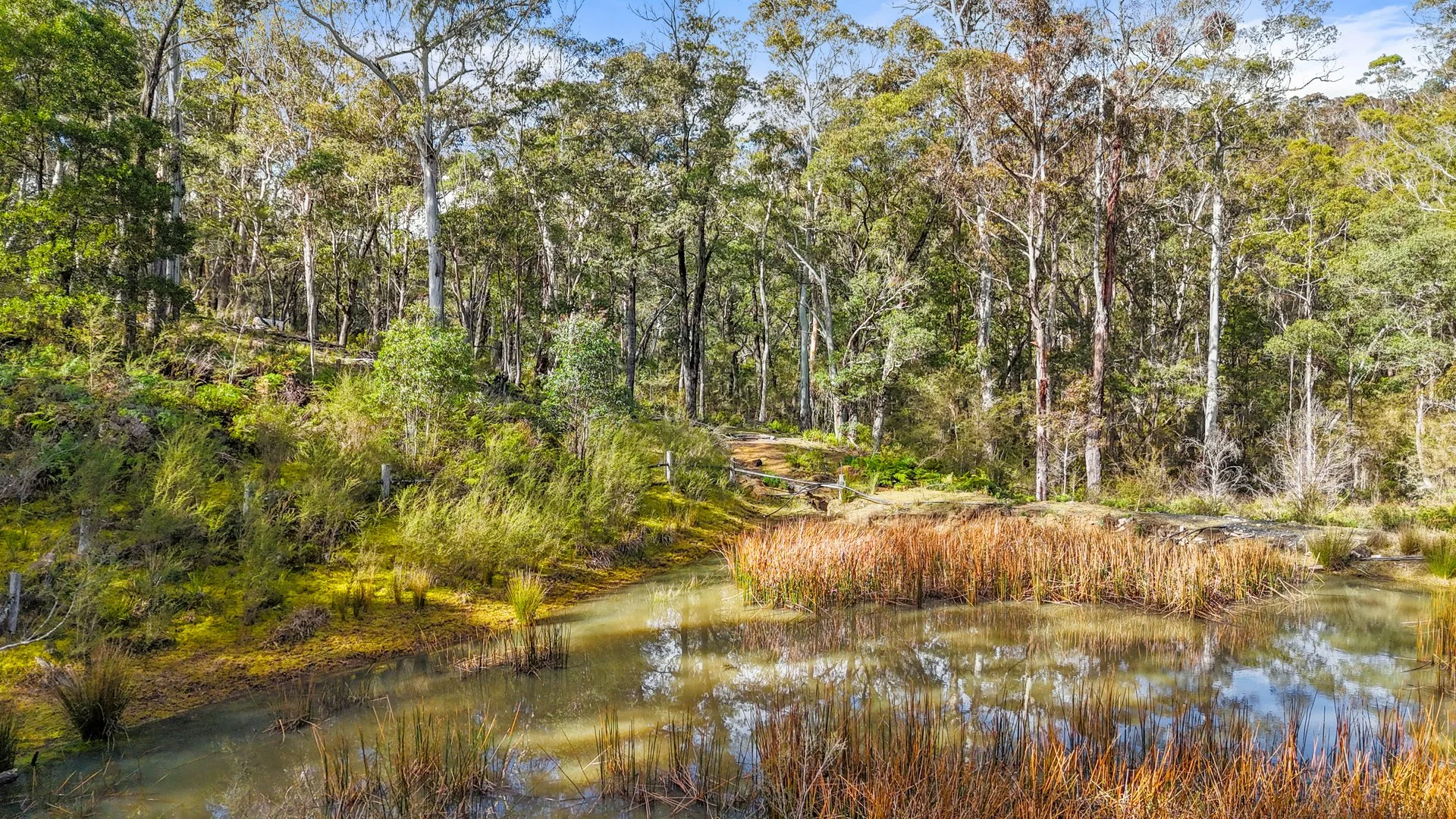 Additional image 3 of Lot 115 Big Jack Mountain Road, Cathcart NSW 2632