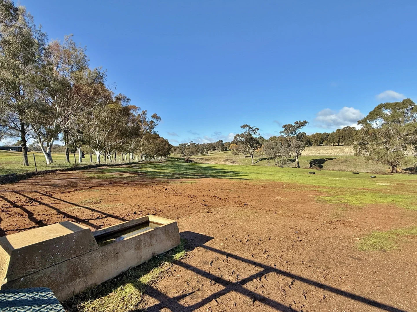 Additional image 7 of 77 Newton Road, Young NSW 2594