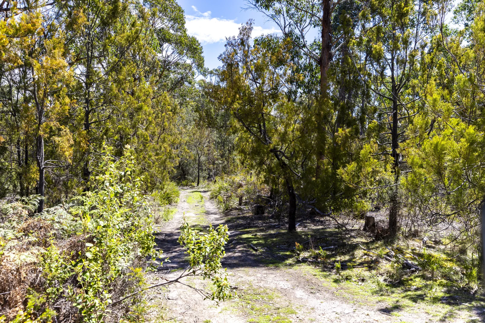 Additional image 15 of Lot 5 Harveys Hill Close, Deep Bay TAS 7112