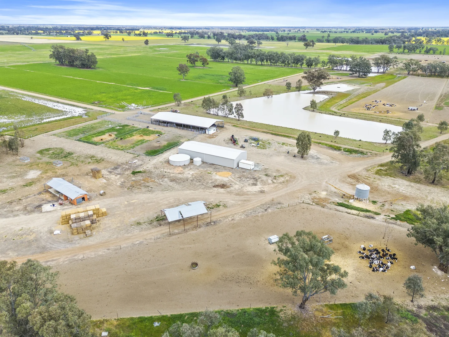 Additional image 17 of 1028 Walshs bridge south Road, Kaarimba VIC 3635