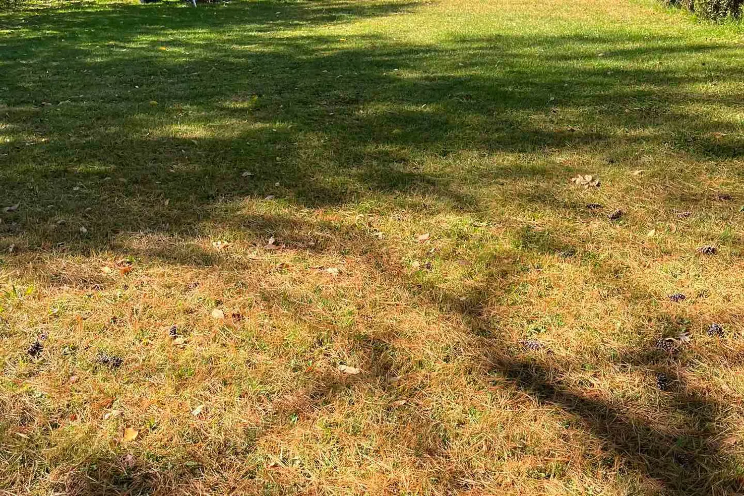 Additional image 2 of 0000 Queen Street