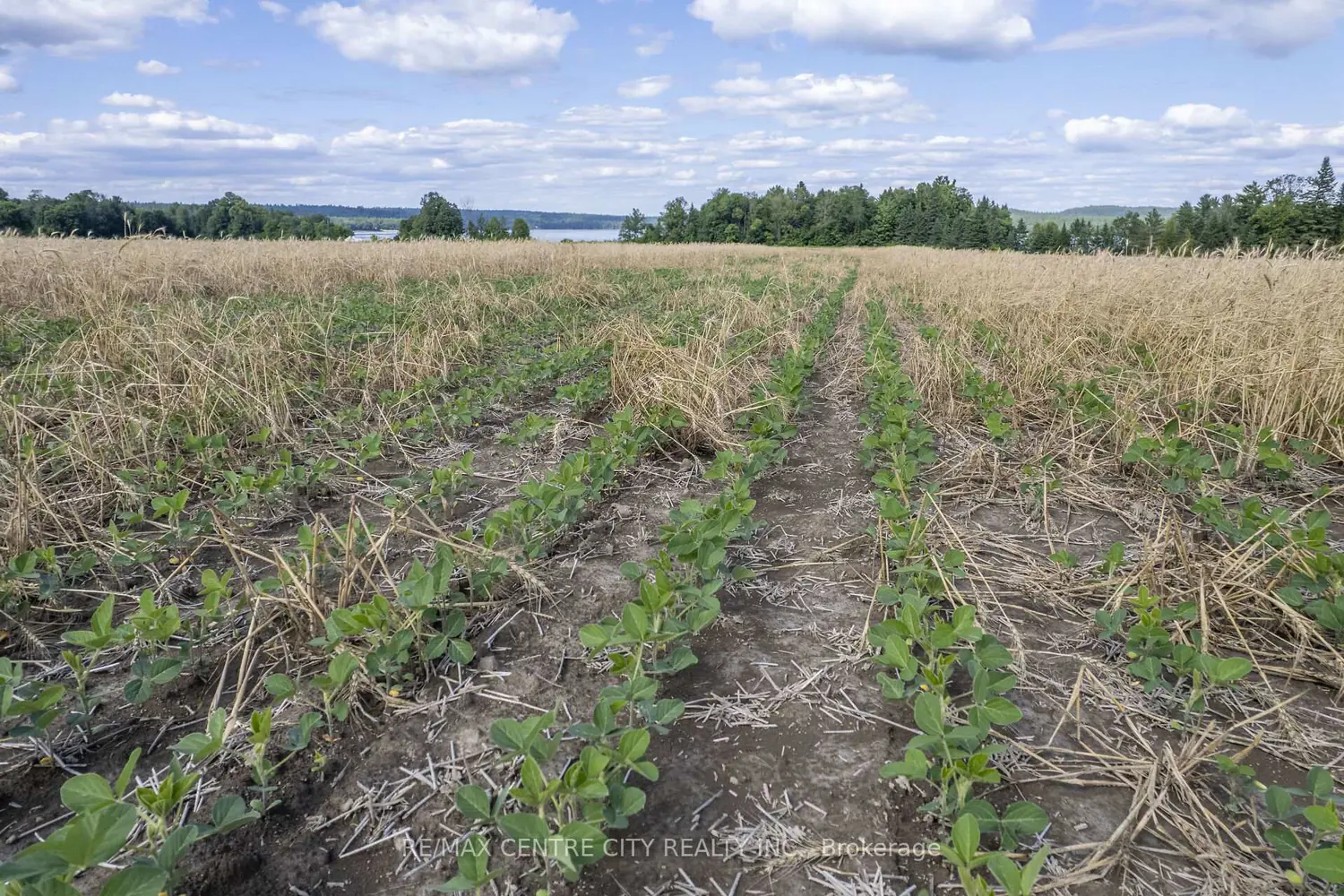 Additional image 12 of Pt Lts 38 & 39 Conc 9