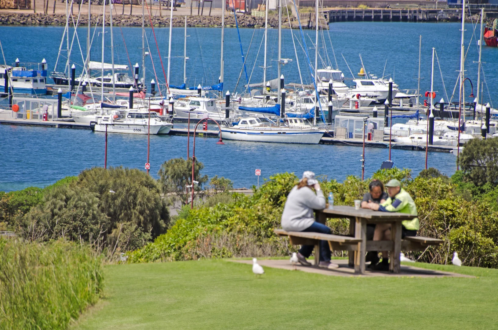 Additional image 24 of 135 Bentinck Street, Portland VIC 3305