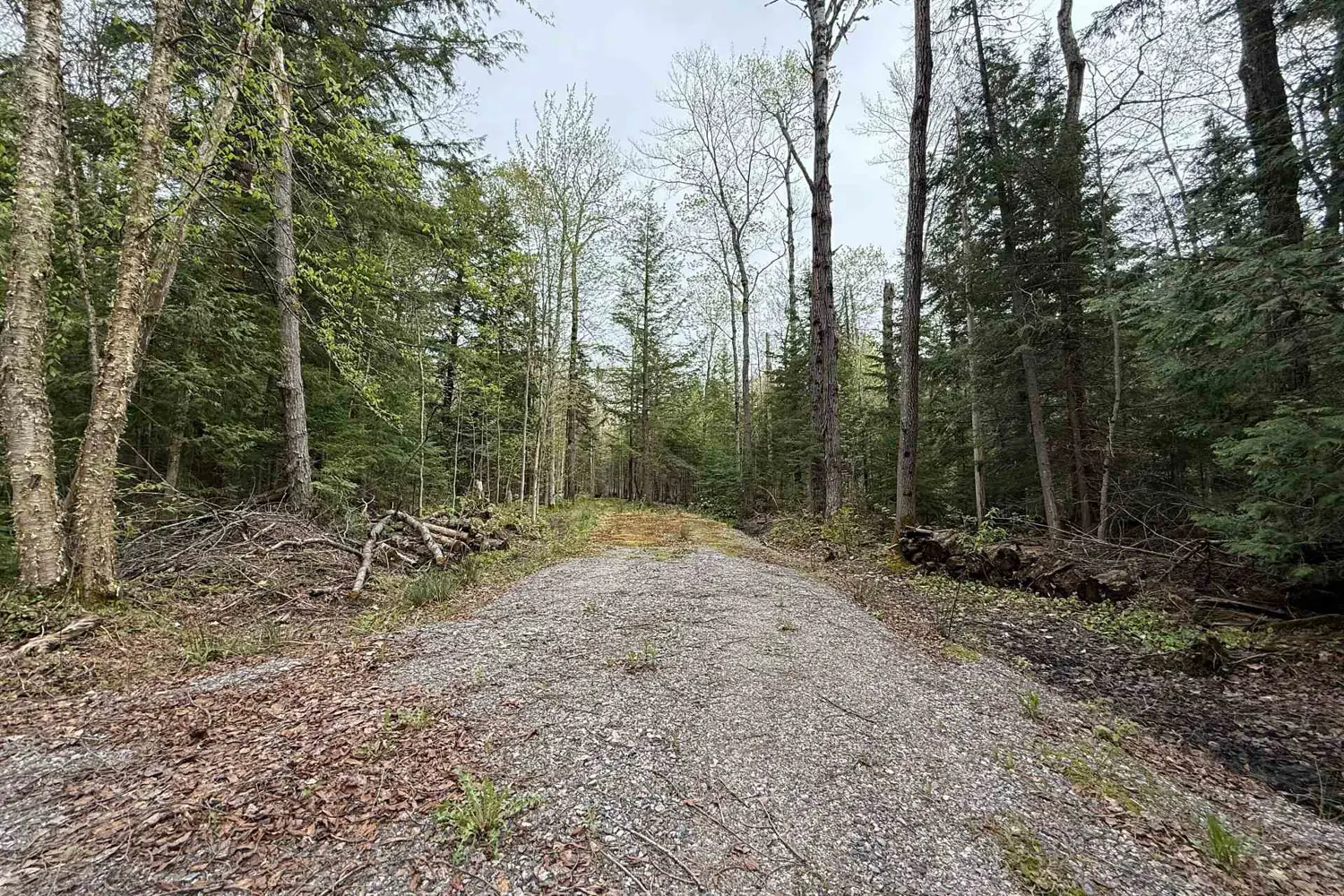 Additional image 5 of 0 Bear Cave Road