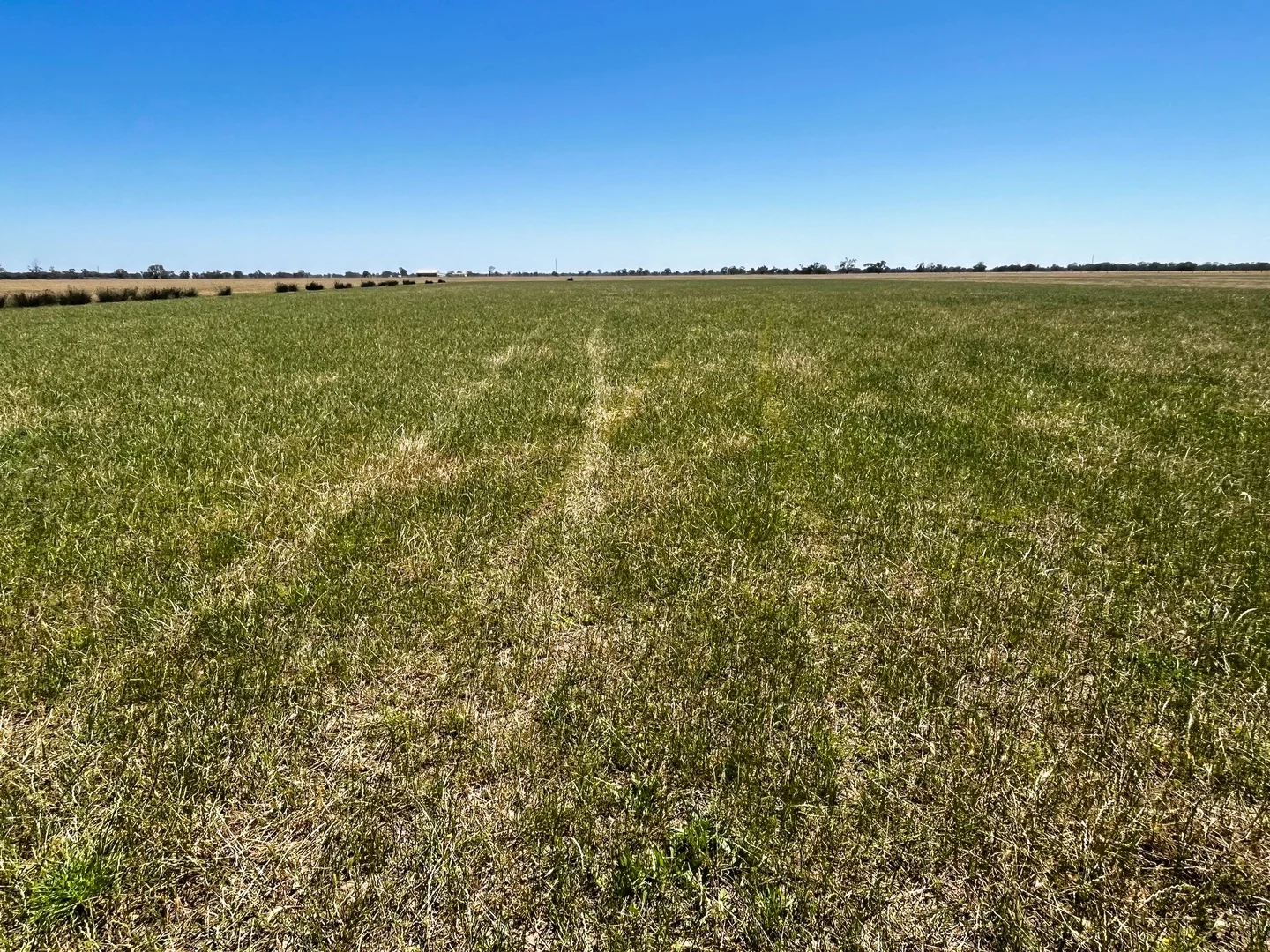 Additional image 17 of 8499 Murray Valley Highway, Kerang East VIC 3579