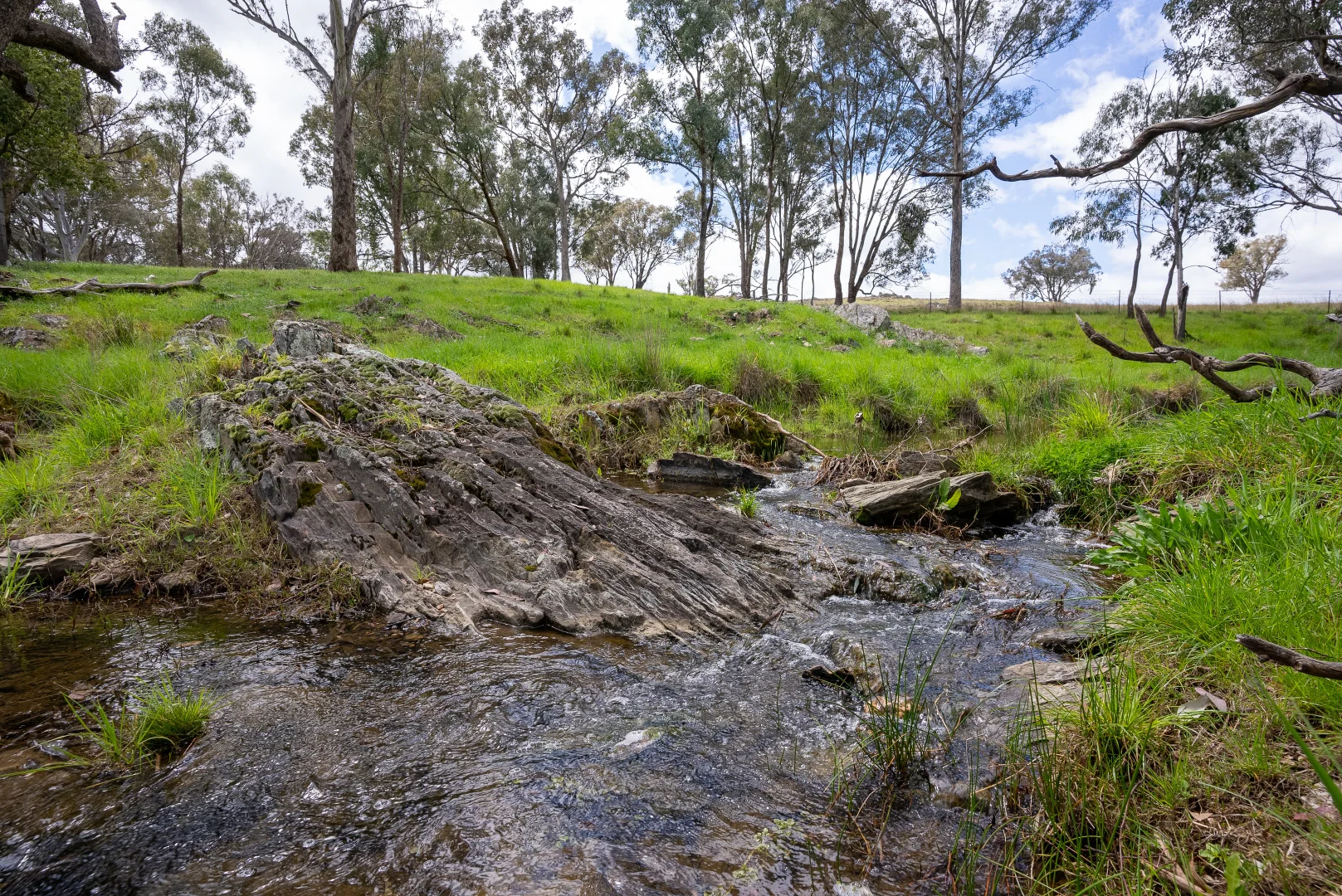 Additional image 12 of 'Cronga Peak' 157 Cronga Peak Road, Molong NSW 2866