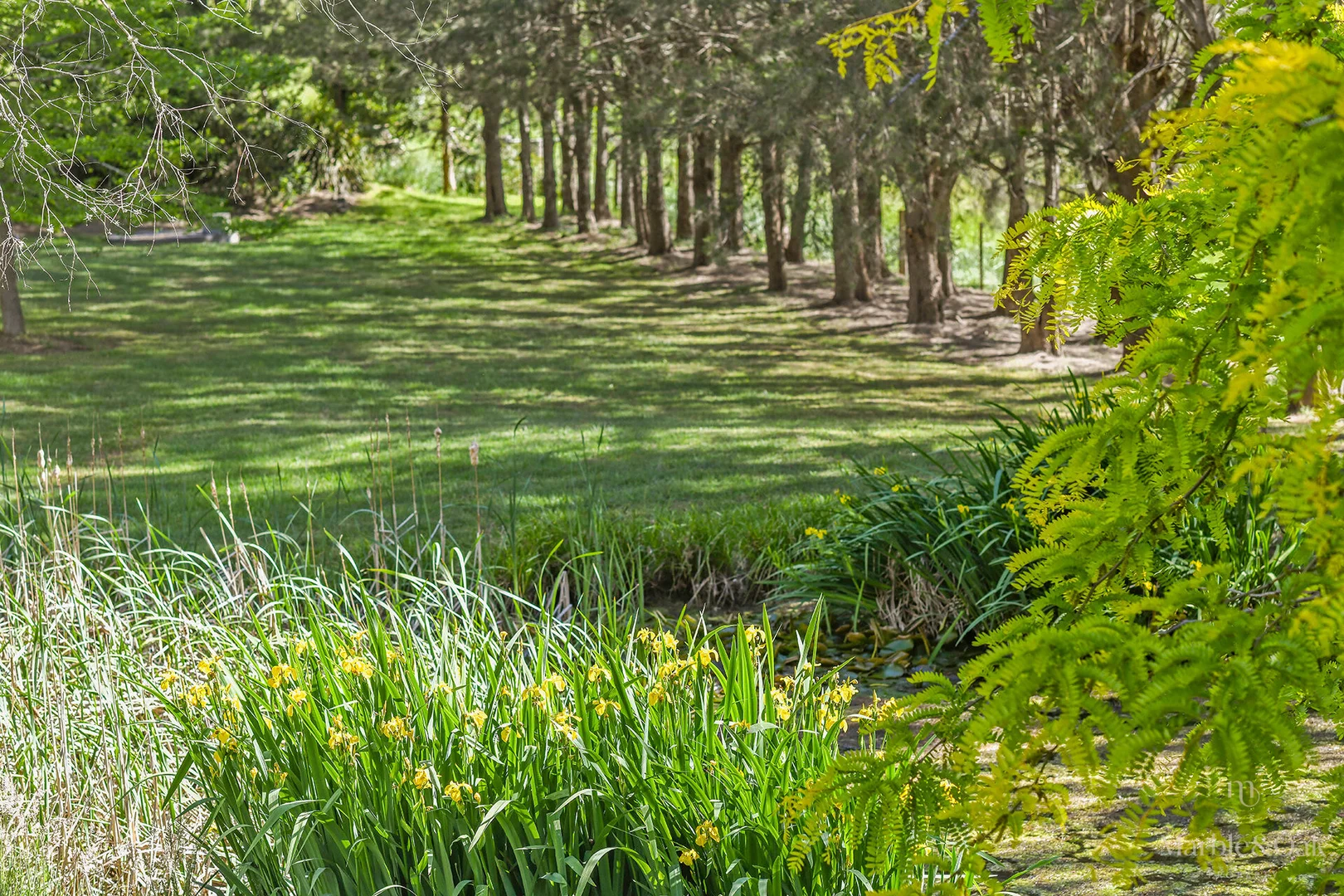 Additional image 21 of 6605 Illawarra Highway, Moss Vale NSW 2577