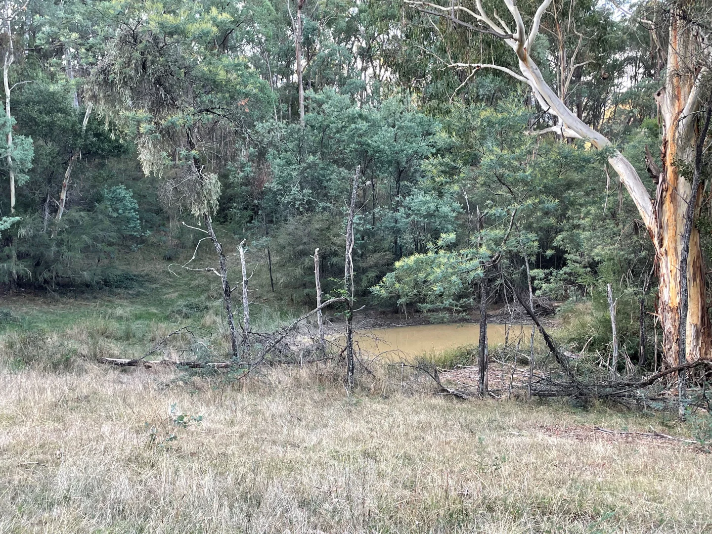 Additional image 12 of 139 The Sideling, Jamieson VIC 3723