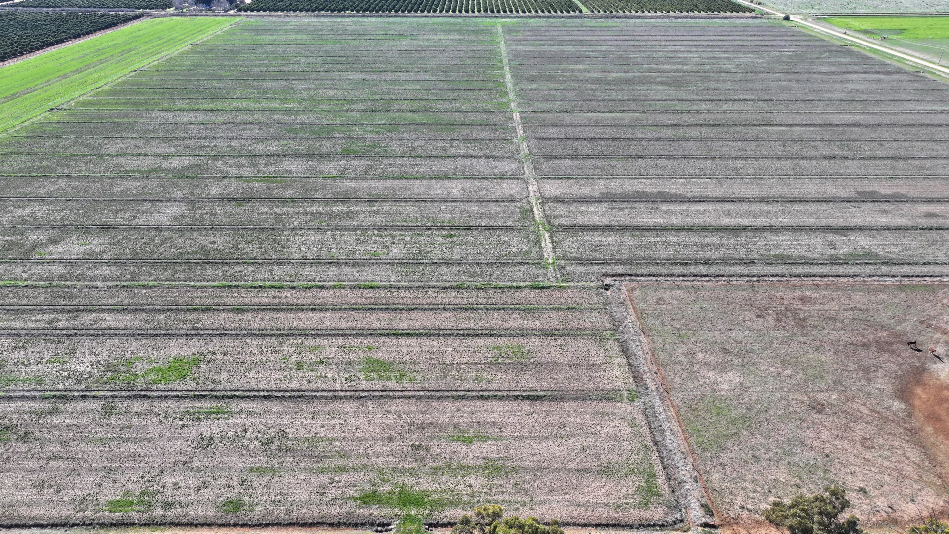 Additional image 6 of Lot 1/DP 1309984 Ross Road, Yoogali NSW 2680