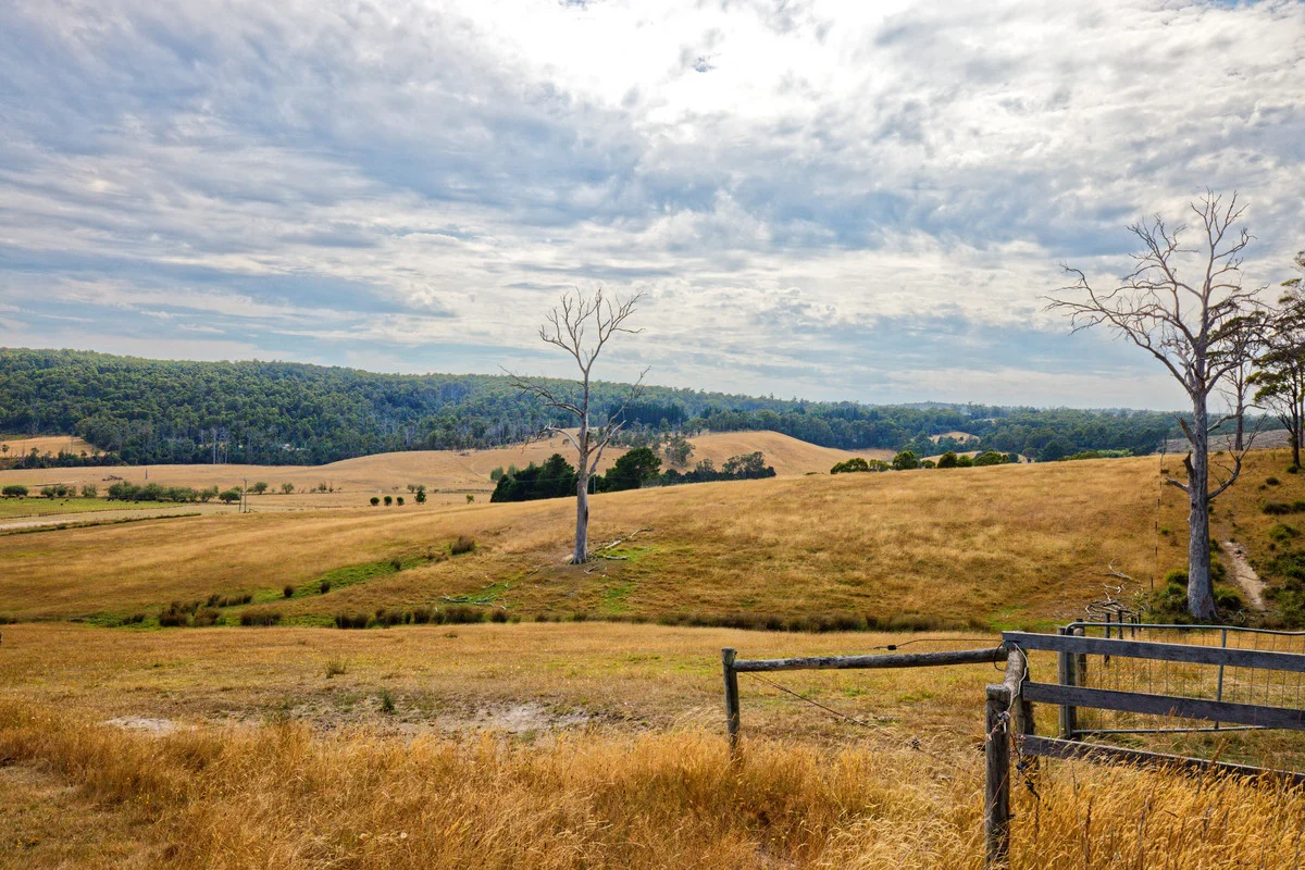 Additional image 11 of 110a Paling Track, Bangor TAS 7267