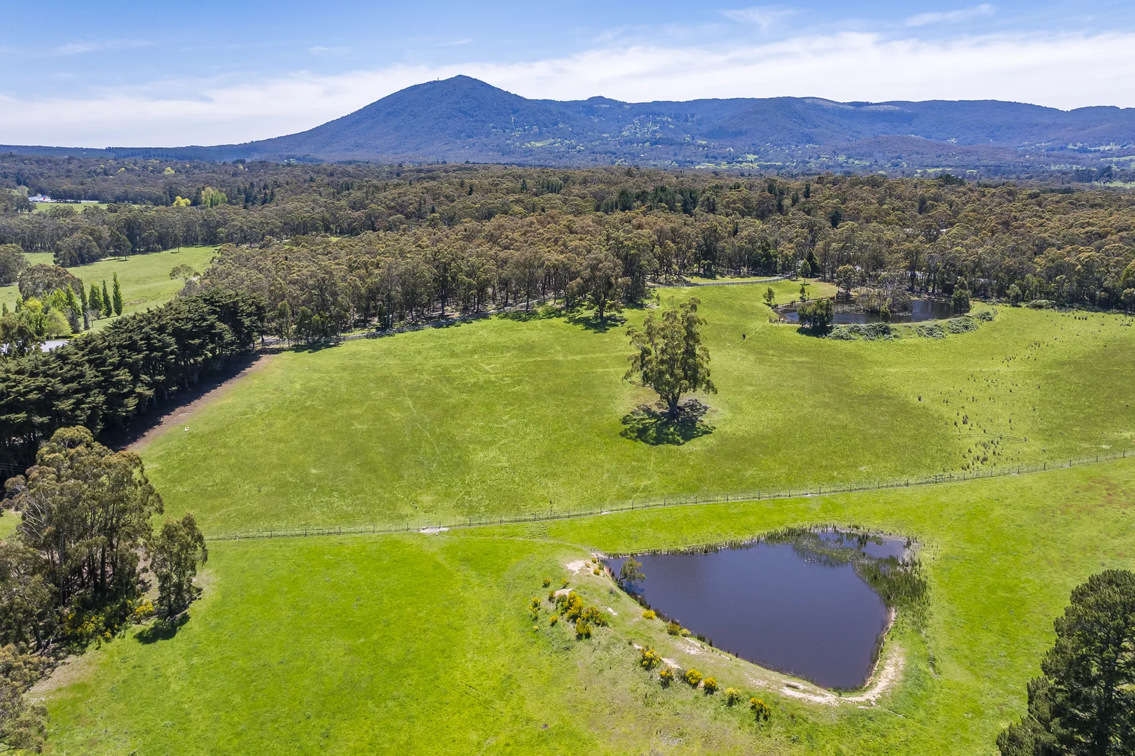 Additional image 21 of 181 Black Forest Drive, Macedon VIC 3440