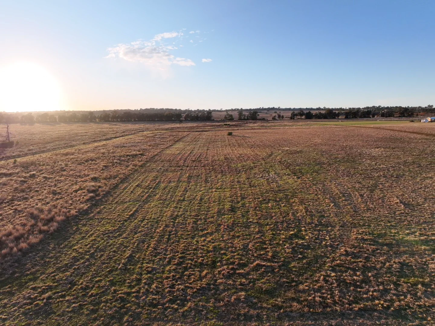 Additional image 14 of Daisy Hill Estate, Eulomogo Road, Dubbo NSW 2830