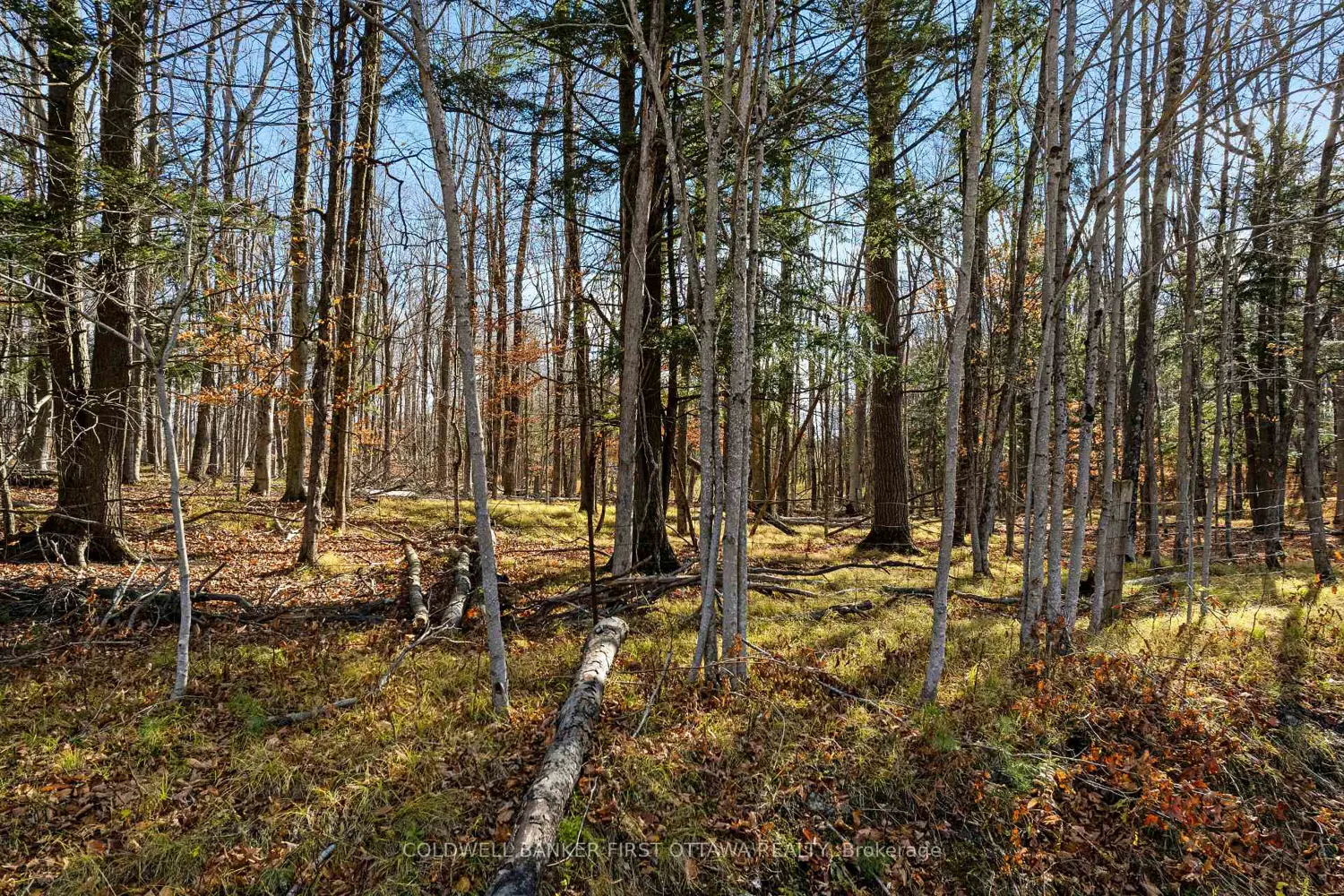 Additional image 7 of Pt 3-00 Herron Mills Road