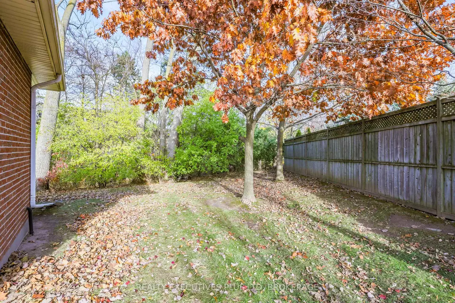 Additional image 3 of 3300 Montrose Road 10