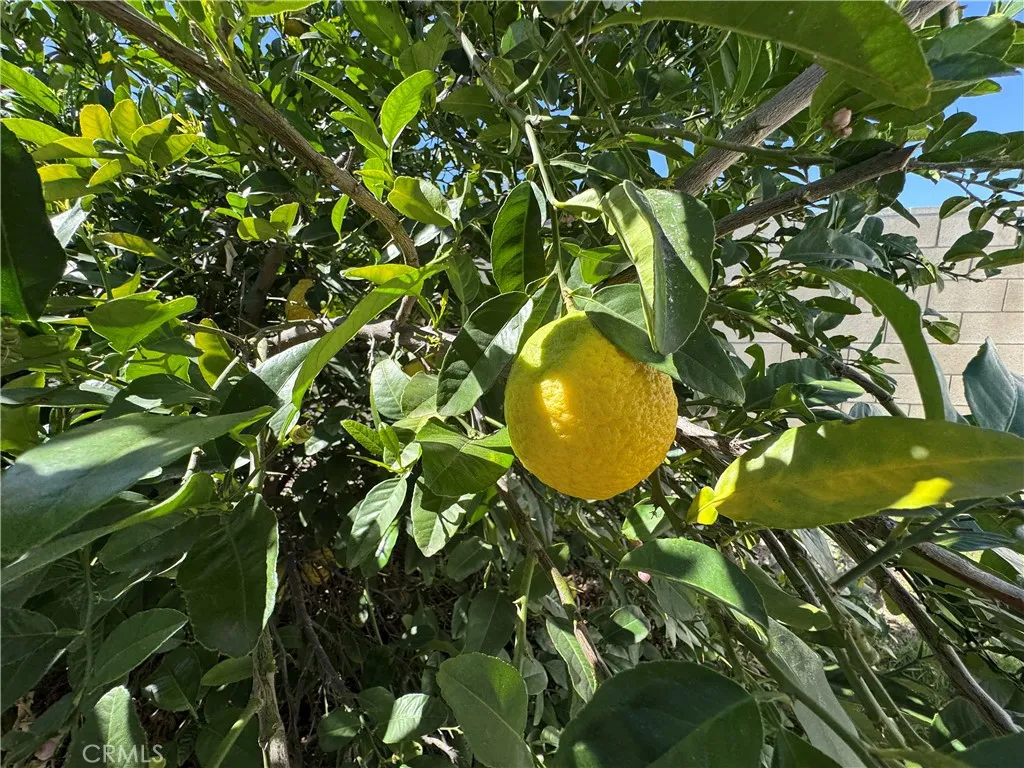 Additional image 80 of 27101 Comwell St, Menifee, CA 92586